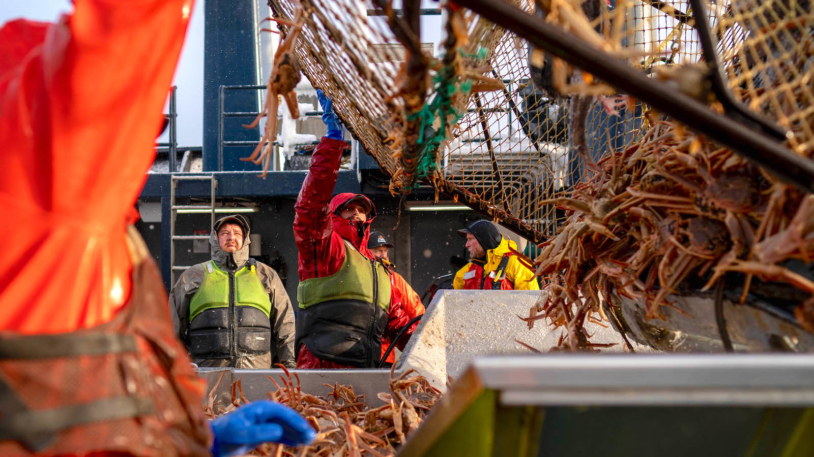 How Warming Ruined a Crab Fishery and Hurt an Alaskan Town