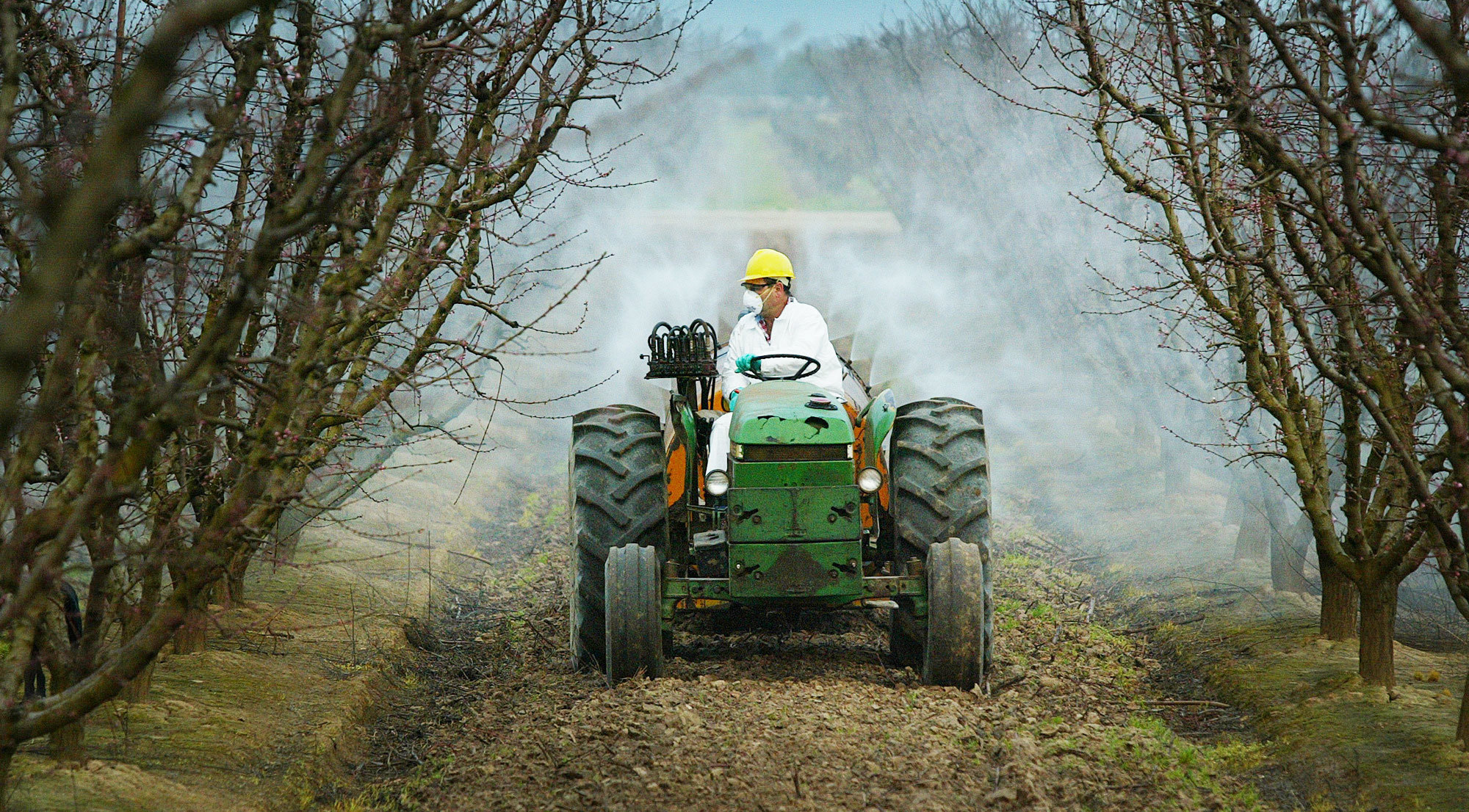 How the Trump Administration Pulled Back on Regulating Toxic Chemicals