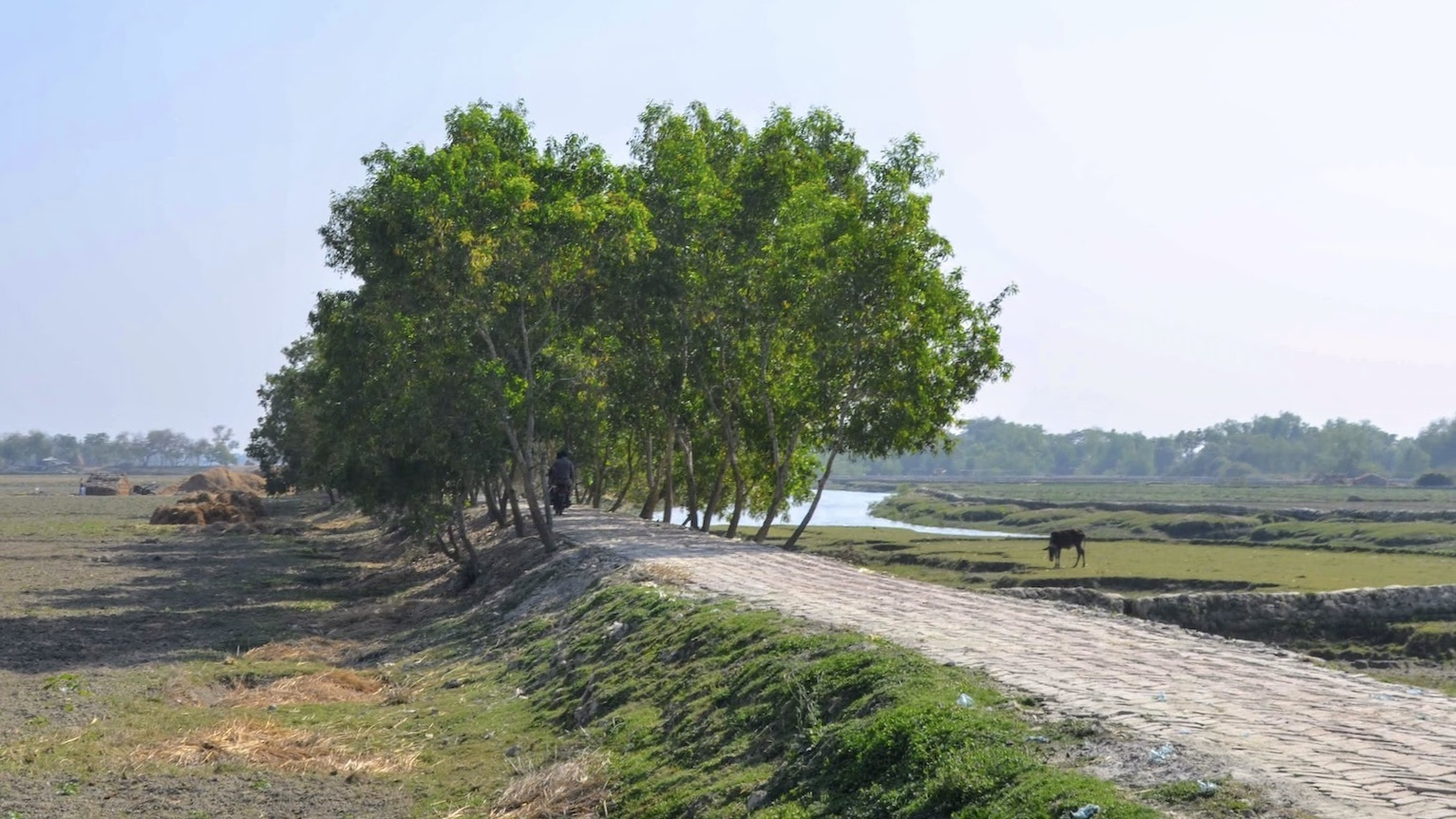 ‘Green Roads’ Are Plowing Ahead, Buffering Drought and Floods