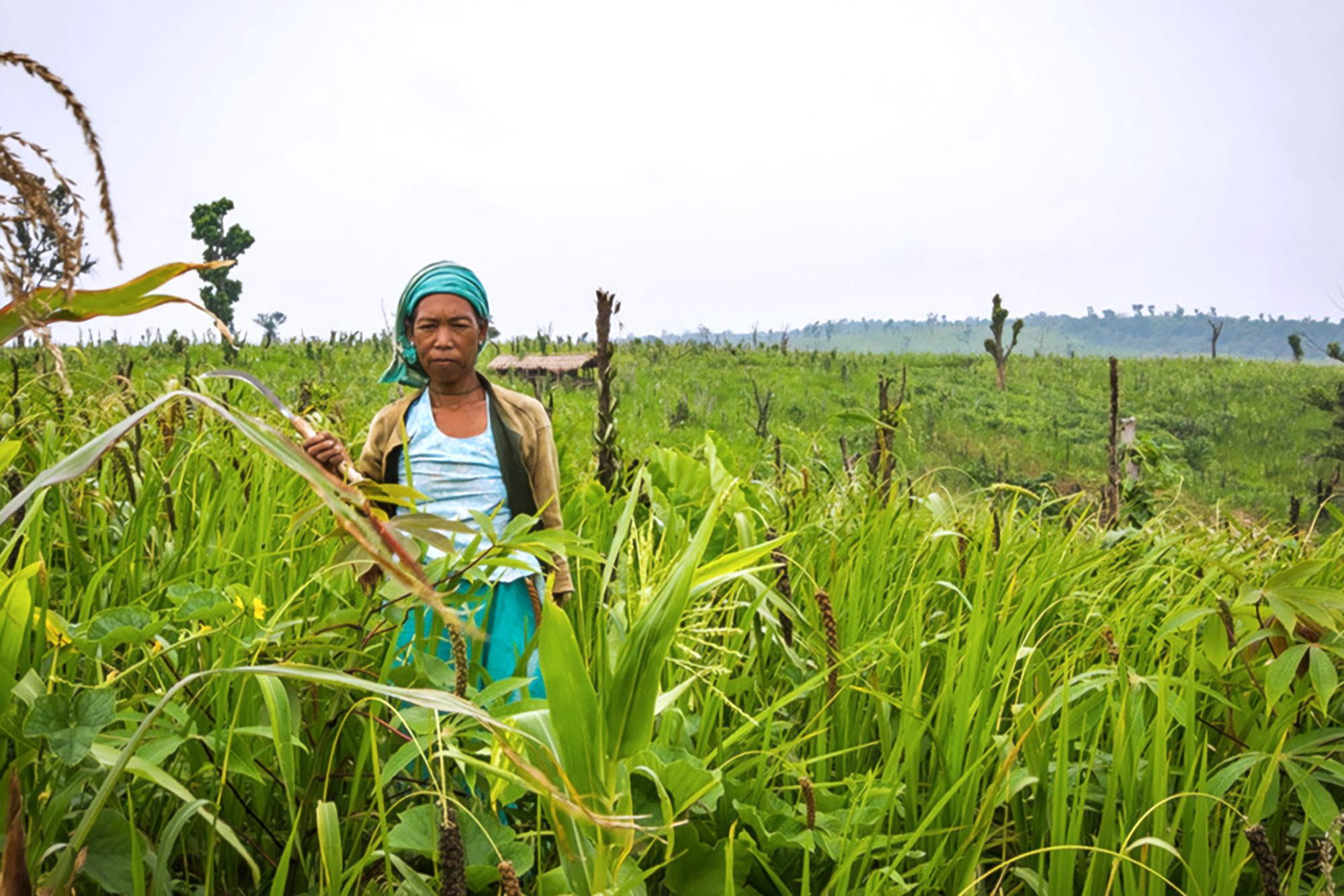 Edible Extinction: Why We Need to Revive Global Food Diversity