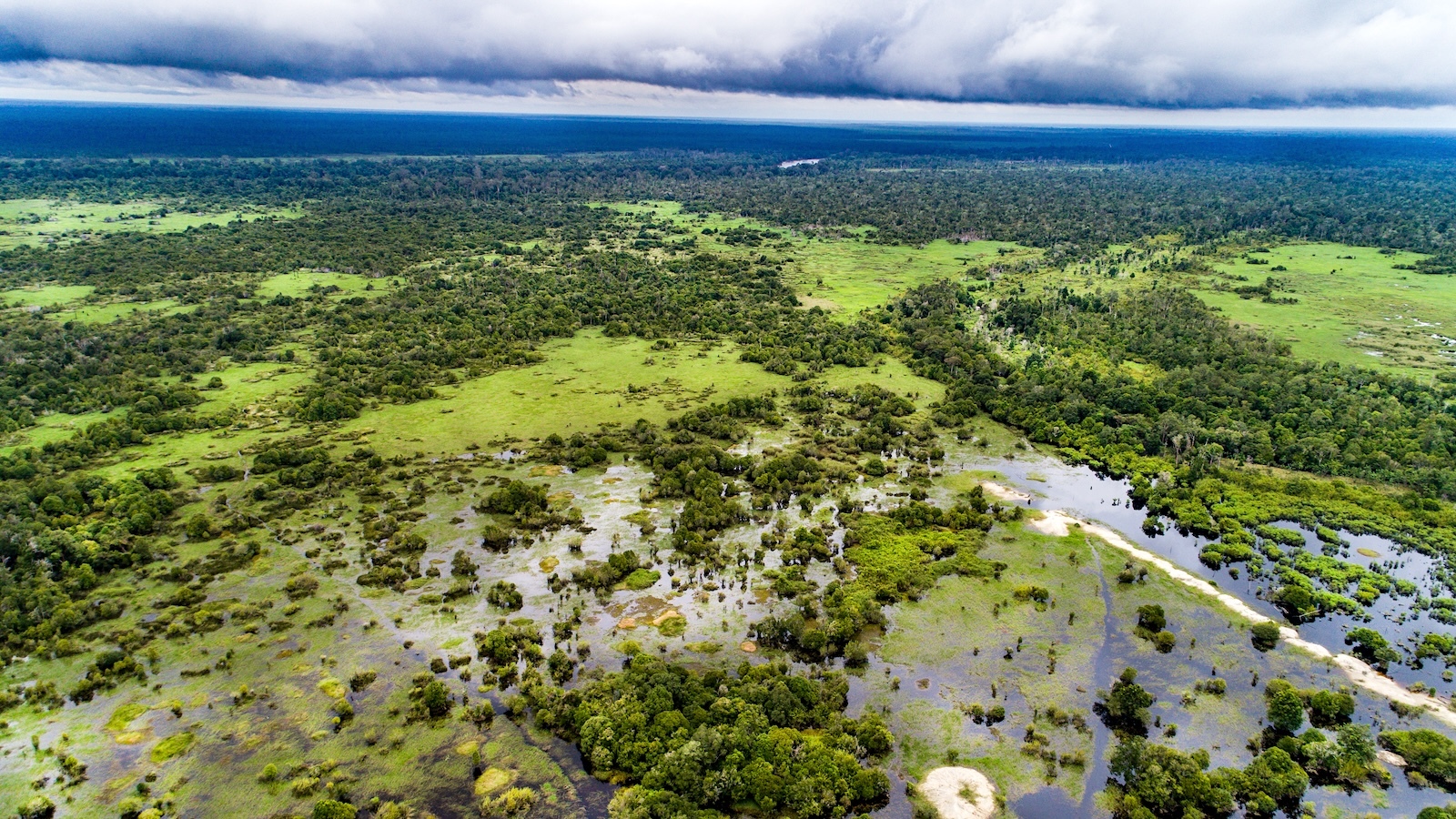 Will UN Carbon Market Work? Indonesia Will Provide First Test